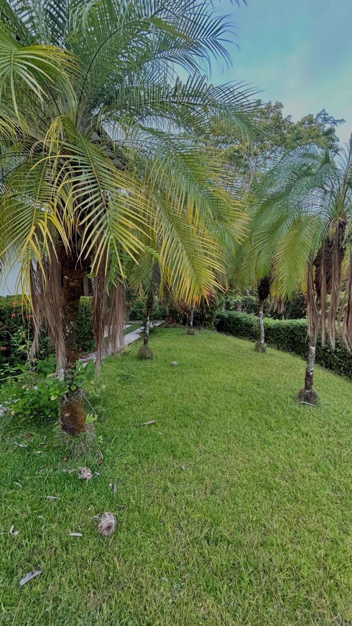 Villa Vista Mar Dominical Exterior photo